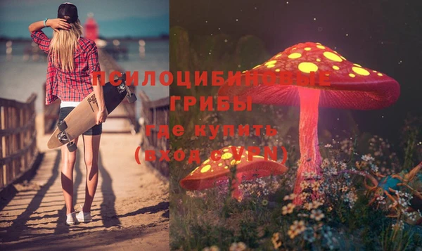 MESCALINE Вяземский