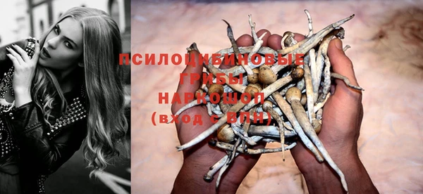 MESCALINE Вяземский
