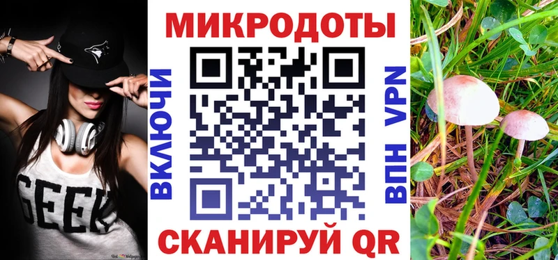 Псилоцибиновые грибы Cubensis  где купить   Королёв 