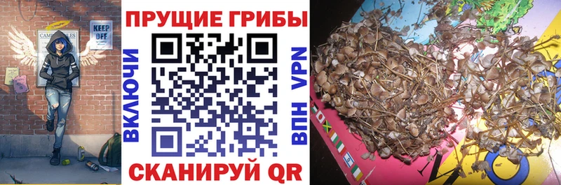 Псилоцибиновые грибы прущие грибы Королёв